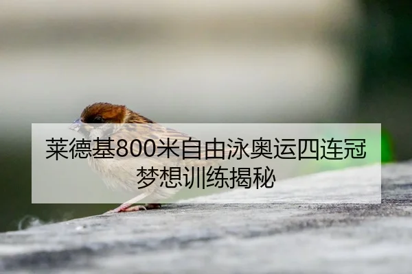 莱德基800米自由泳奥运四连冠梦想训练揭秘